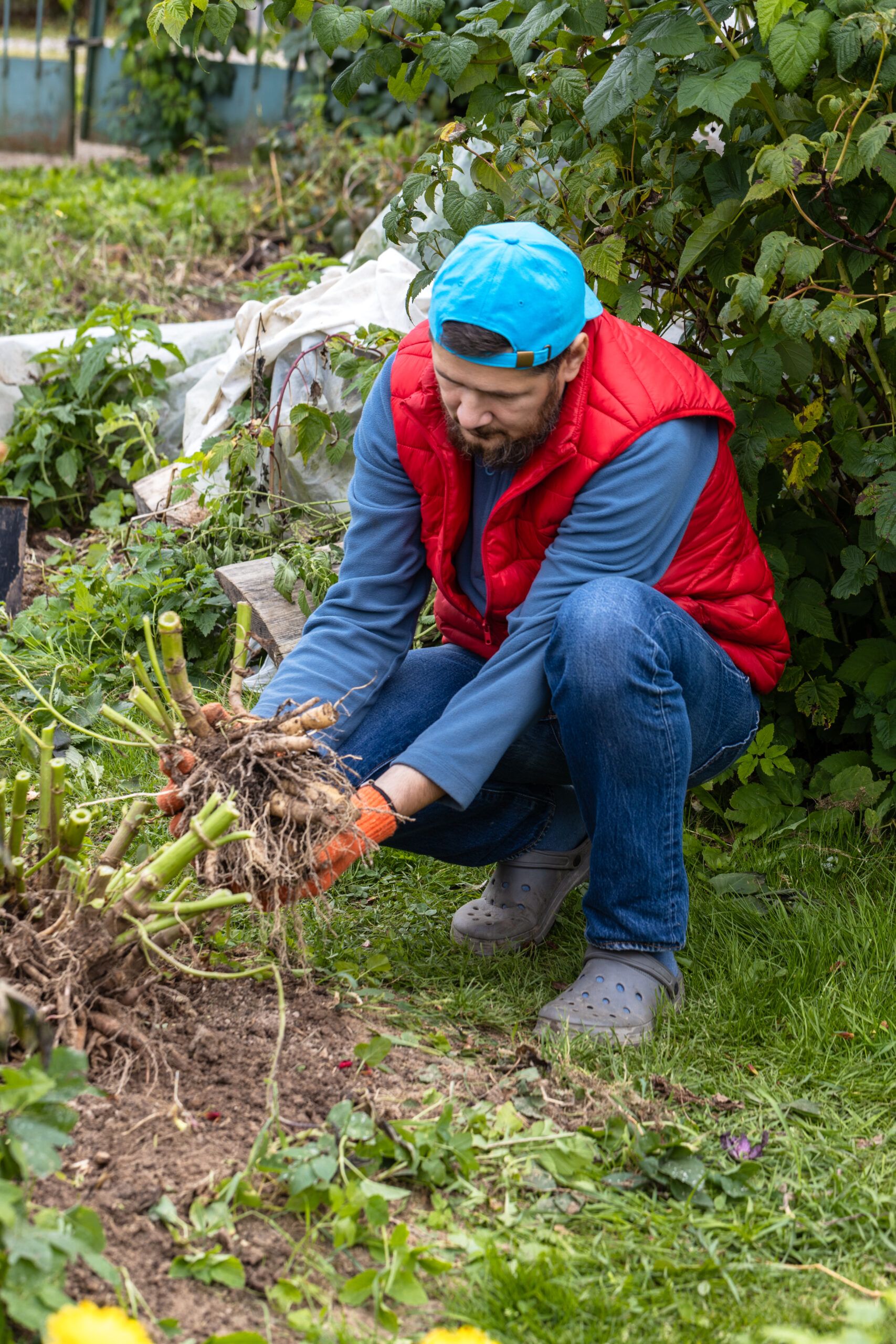 Entretien général des espaces verts