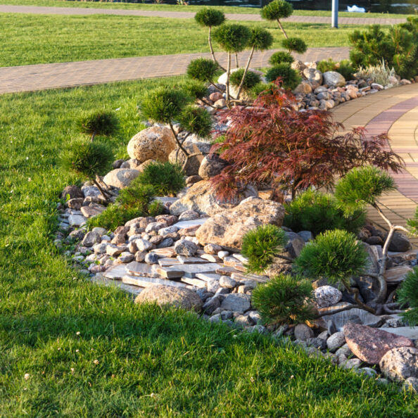 Elements of modern landscaping near restaurants. Druskininkai. Lithuania. Ornamental stone, conifers.